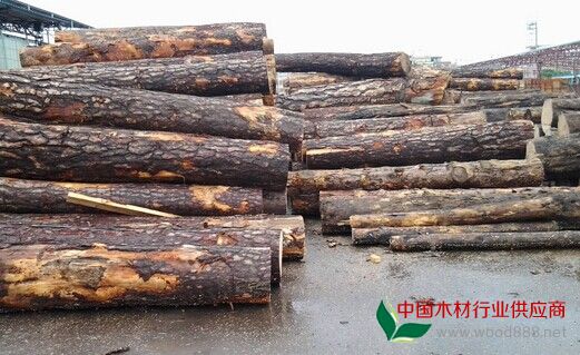 木材种类大全,木材种类有哪些,常用名贵木材
