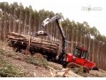 木材专用装卸车工作视频表演