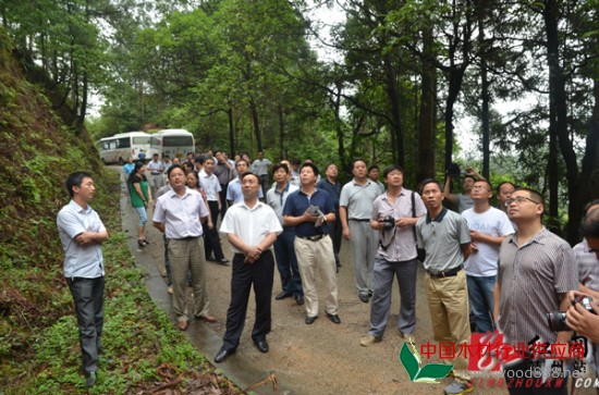 湖南省木材战略储备基地建设现场会在靖州召开