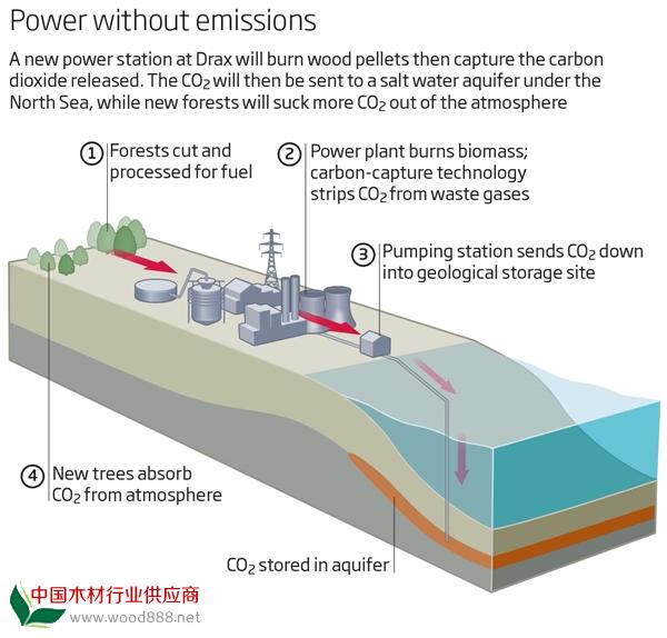 英国火电厂弃用煤炭 改烧木材实现负排放