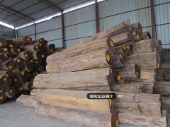 出售进口厂家直销 缅甸金丝楠木原木 进口金丝楠木木材批发图2