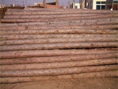 供应松木桩，松木方，松木板，打桩木，井下防坍塌支撑木