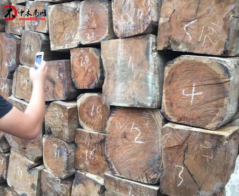 老挝木材