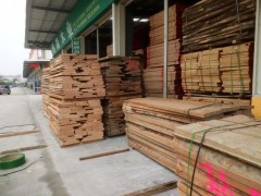 精品进口榉木烘干板材 家具用材 建筑用材图2