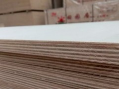 临沂维尼熊胶合板厂家，E1免漆橱柜板，生态板价格图2