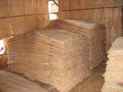 精品 桦木单板 旋切木皮 价格优惠  欢迎定制