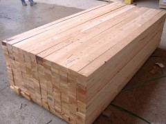 美国花旗松碳化木设备房 户外实木工具房 户外木屋防腐木