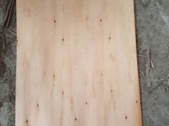 厂家直销1.27×0.63桉木中板 适用于胶合板 多层板