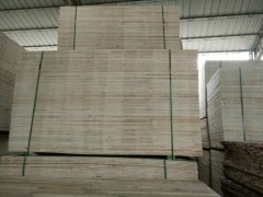 专业定制落叶松板材  胶合板  杨木 家具板