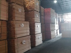 大量供应榉木板材 欧洲榉木原木 家具材 厂家直销图1