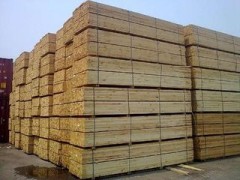 直销智利辐射松  建筑板材  原木加工