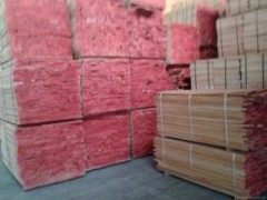 大量供应榉木板材 欧洲榉木 板材 家具材 厂家直销图1