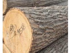 专业定制各种规格板材 杨木板材 水曲柳板材 桦木板材  原木