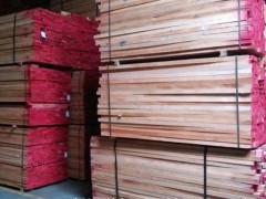供应优质欧洲榉木原木 各种尺寸板材 方材