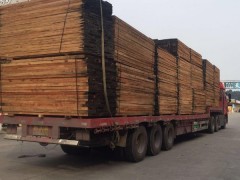 厂家专业批发大量进口非洲材 缅甸材 俄罗斯水曲柳等木材