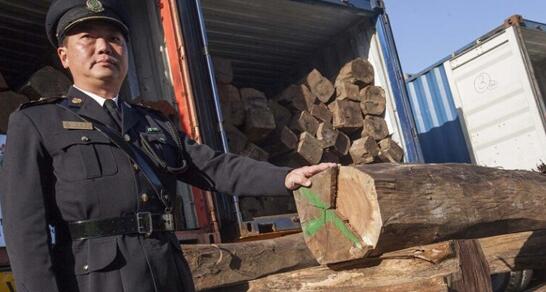 洪都拉斯合法木材有望出口欧盟