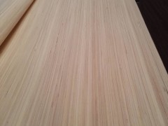 长期大量批发 沙比利 克隆木  科技门板原色一级二级科技木皮