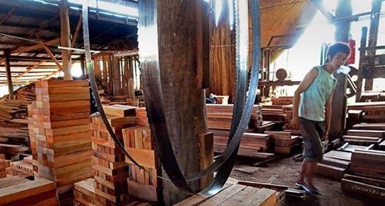 老挝下令非法家具厂及木材加工厂停业