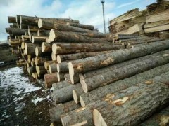 加工定制实木板材 樟子松 樟子松原木 实木板材 大量供应