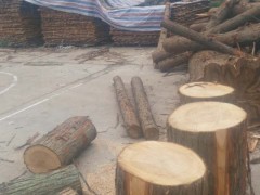 精品 池杉（落叶松） 水杉木制品 各种木制品均可定做