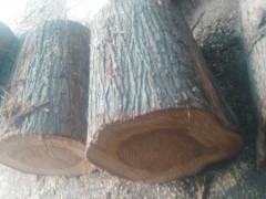 可定制 池杉（落叶松） 水杉木制品 各种木制品均可定做