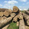 专业批发 进口红木 巴新材 非洲材 所罗门材等 长期供应