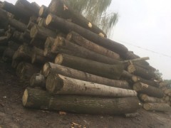 陕西鲁鑫木业可定制加工生产批发桐木板材,杂木原木等