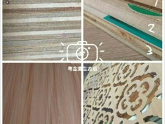 生态板、家具板、实木贴面板图3
