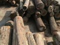 美国CK森林木业有限公司-产品图片