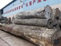 深圳观澜红木市场走访记：花梨类木材价格大涨