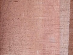 石家庄乐天木业剥皮桉实木烘干板大量批发