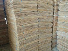 厂家直销 桉木单板长期大量供应