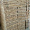 厂家直销 桉木单板长期大量供应