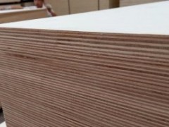 千禧鸿福木业红杂木面杨木胶合板装饰板材批发厂家直销图2