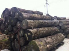 美国红橡原木 白橡原木长期大量供应