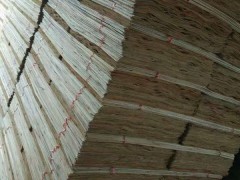 东岳木业厂家批发桉木单板