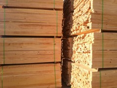 厂家直销黄松原木,黄松建筑木方,各种规格均可按客户要求加工