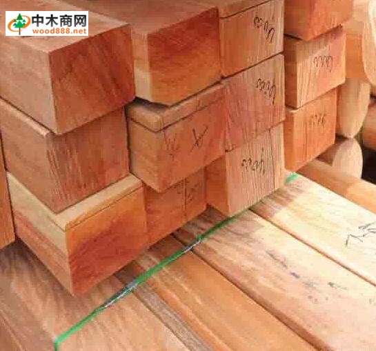 进口木材名称国标：大甘巴豆