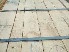 白橡板材,山东白橡烘干板材大量供应青岛保昂木业货源稳定