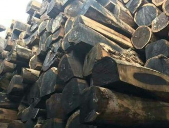 江苏精品沉贵宝原木500吨出售认准张家港市亿林森木业有限公司
