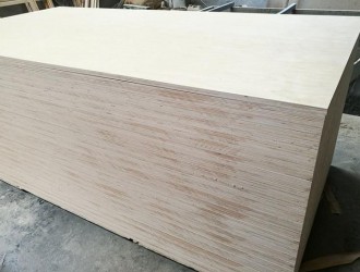 临沂安子林木业专业生产1-22厘全杨全桦全椴UV板