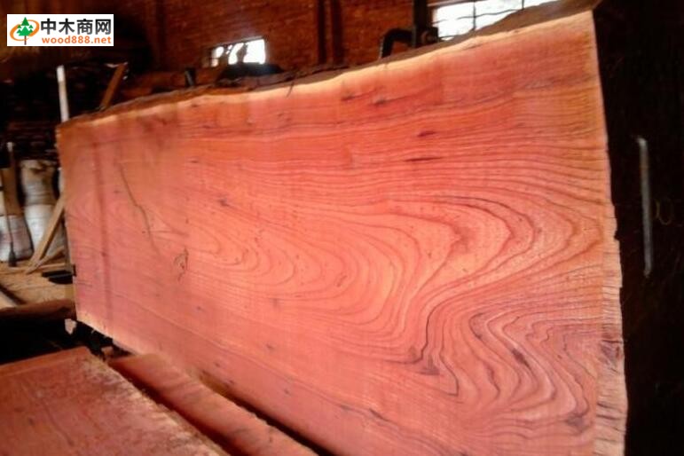 国产木材名称国标 ：红椿木