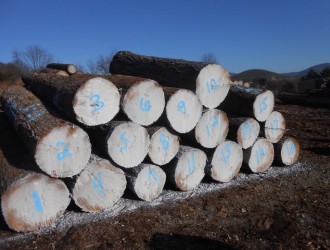 美国CK森林木业有限公司（马拉）--产品图片