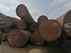 上海达显进出口原木批发厂家出售进口刚果沙比利一手货源材质极佳图3