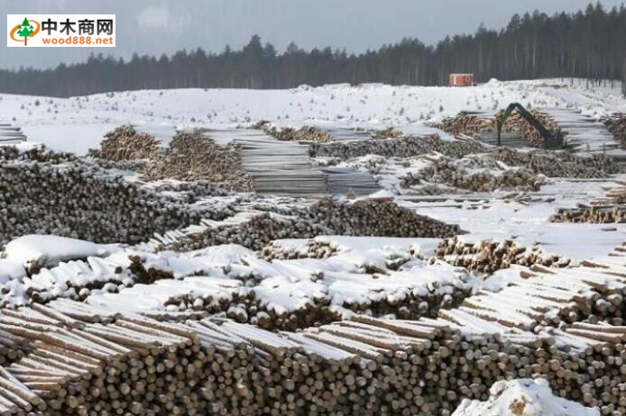 俄罗斯著名北方针叶林木材生产地