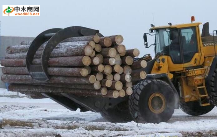 木材市场巡视之--俄罗斯著名北方针叶林木材生产地