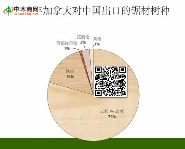  加拿大木材2016年对中国出口下跌10% 仍以SPF板材为主