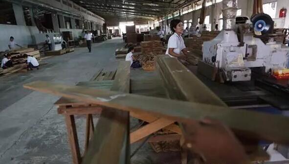 缅甸将恢复木材生产，生产目标预计达27万吨
