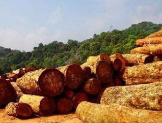 老挝政府督促加快关闭保护林区16家木材厂