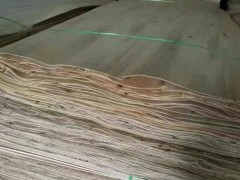 南宁红丰桉木单板木皮供应图1